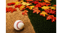 Fall Ball - Registration